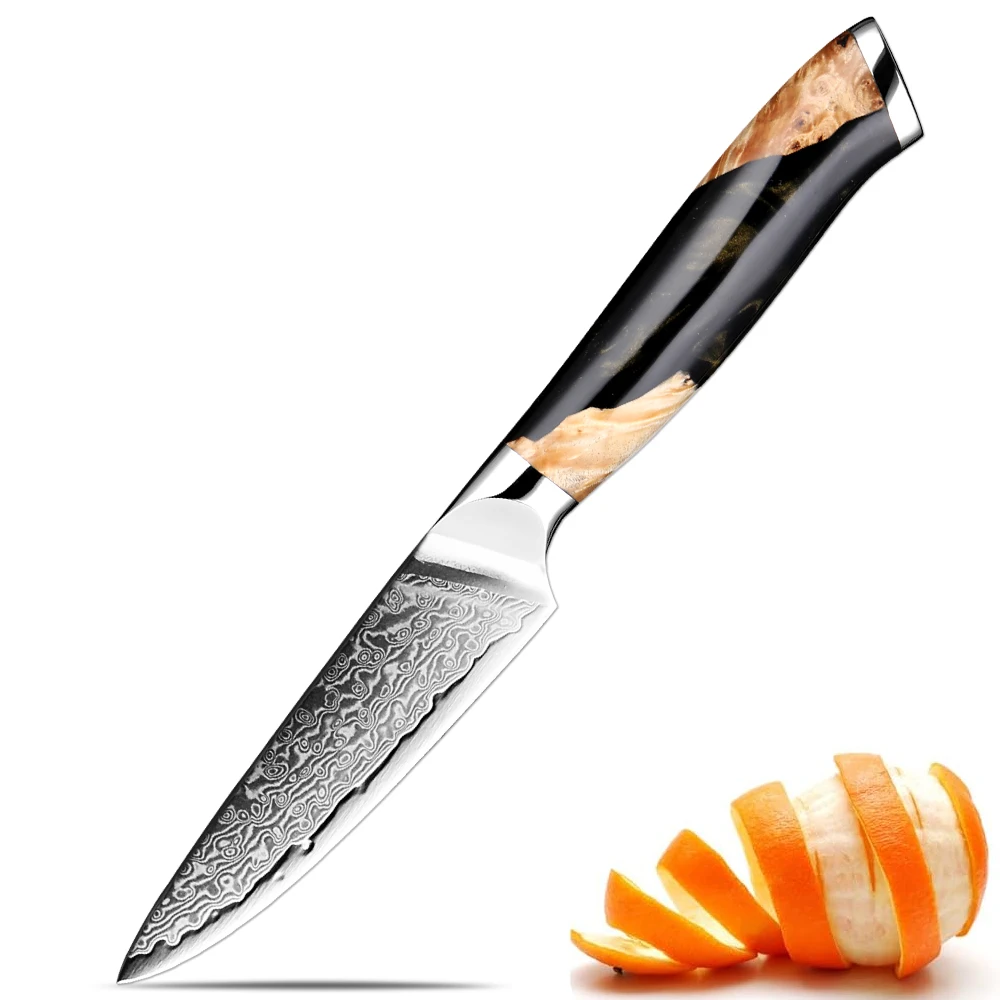

Paring Knife 3.5 Inch Damascus Fruit Knife Sharp Utility Knife Japanese Kitchen Small Knife Black Resin Stabilized Wood Handle