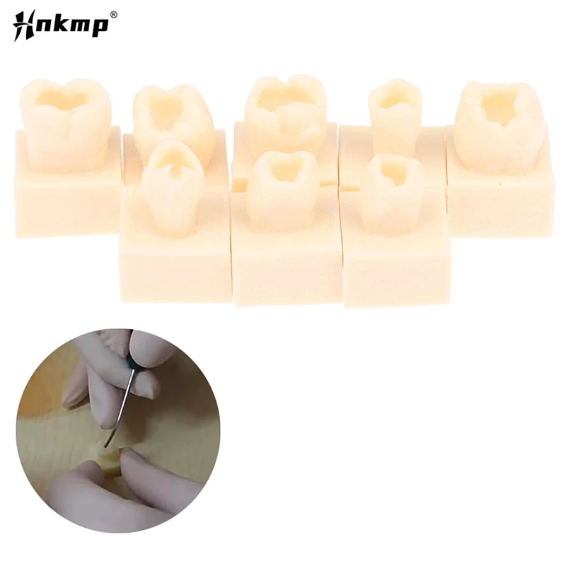 8Pcs/Kit Dental Posterior Student Training Test Model Practice Composite Resin Filling Teeth Jaw Dentistry Equipment