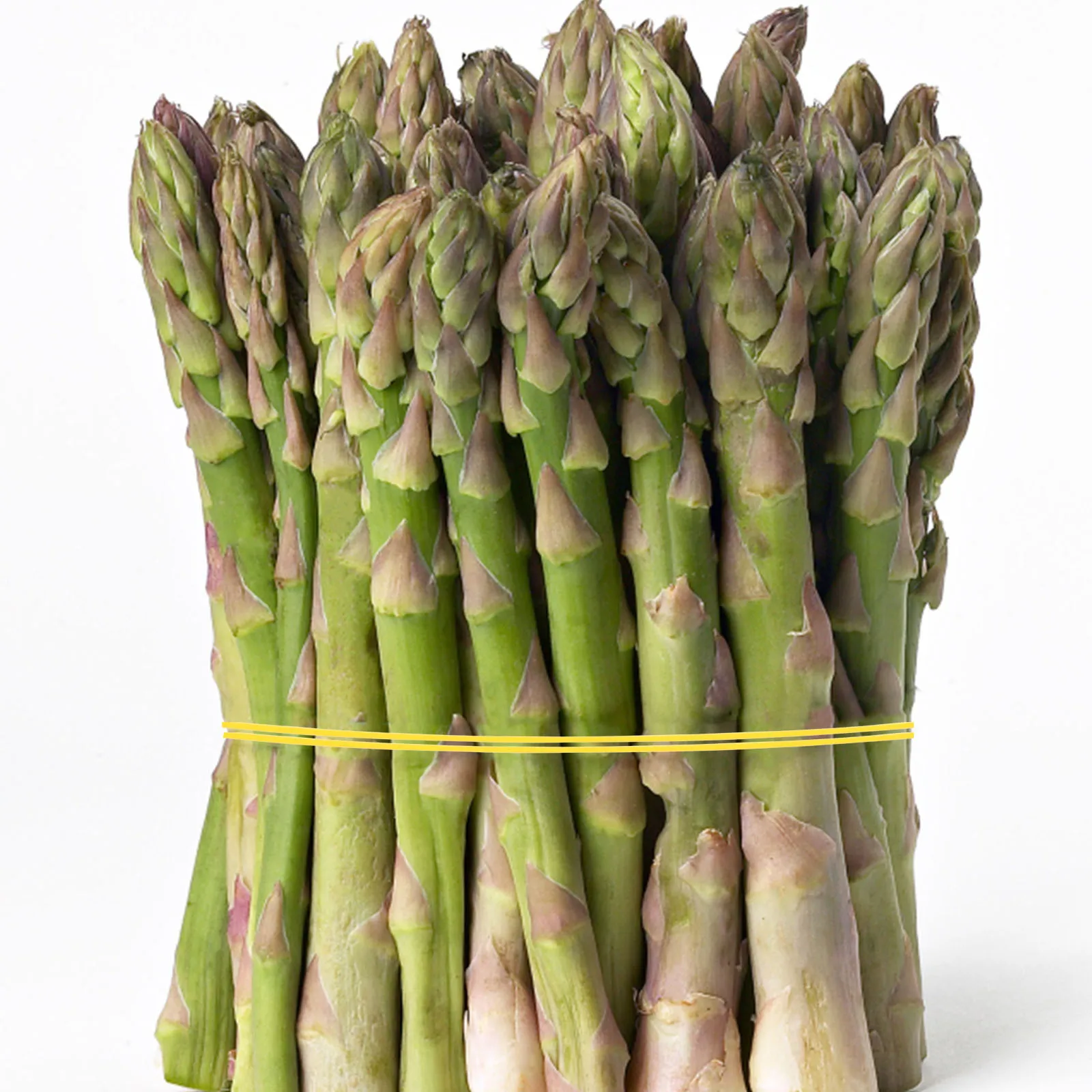 800Pcs Wide Heavy Duty Rubber Bands Strong Elastic Rubber Rings for Home Office Outdoor Multi Purpose Bundling and Fixing