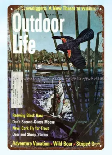 apartment decorating 1970 Outdoor Life fishing hunting metal tin sign