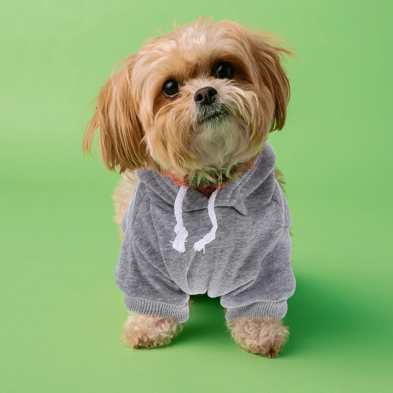 

Pet Hoodie for Small Dogs Winter Clothes Accessories High Quality Polyester Comfortable Warm Reusable Fashion Design Safe Pet