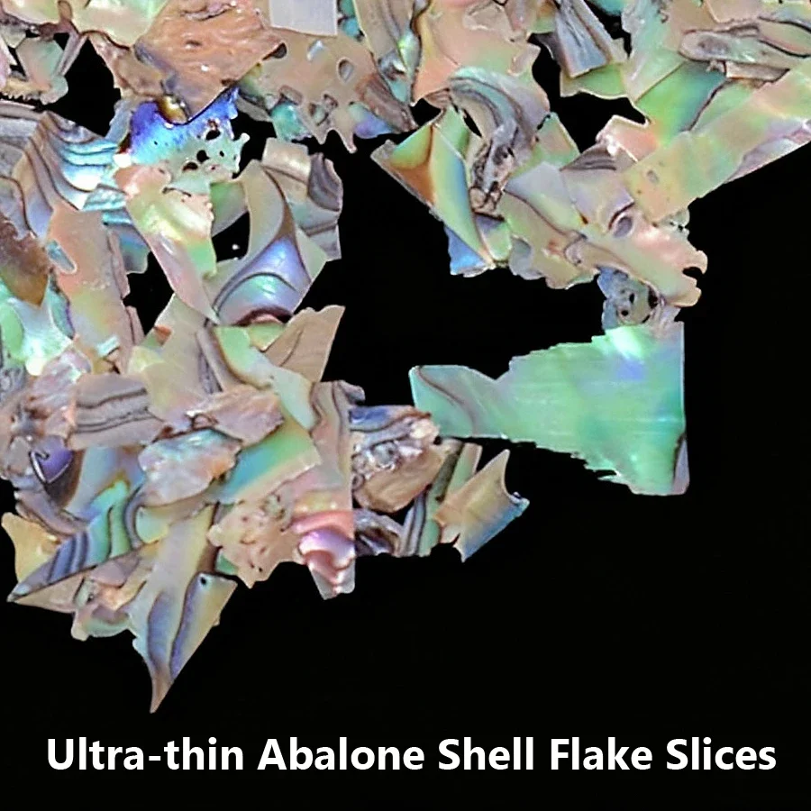 5g Nail Art Shells Abalone Flakes, Luxe Mother-of-Pearl Nail Charms for Manicure Decorations Acrylic & Gel Nails