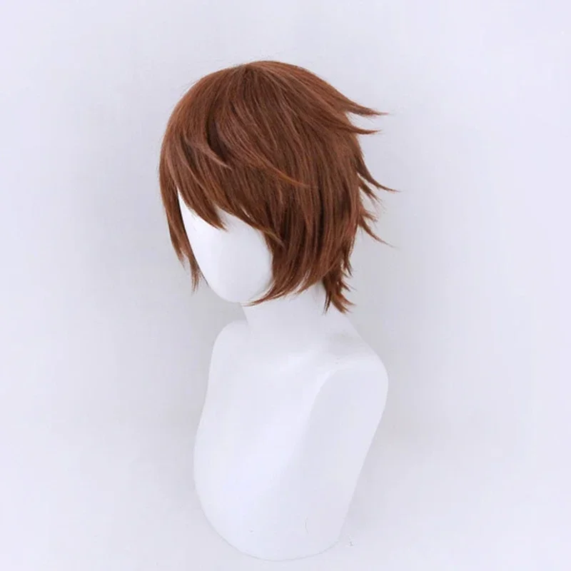 Halloween Anime Cosplay Wig 30cm Dark Brown Short Hair Heat Resistant Synthetic Wigs