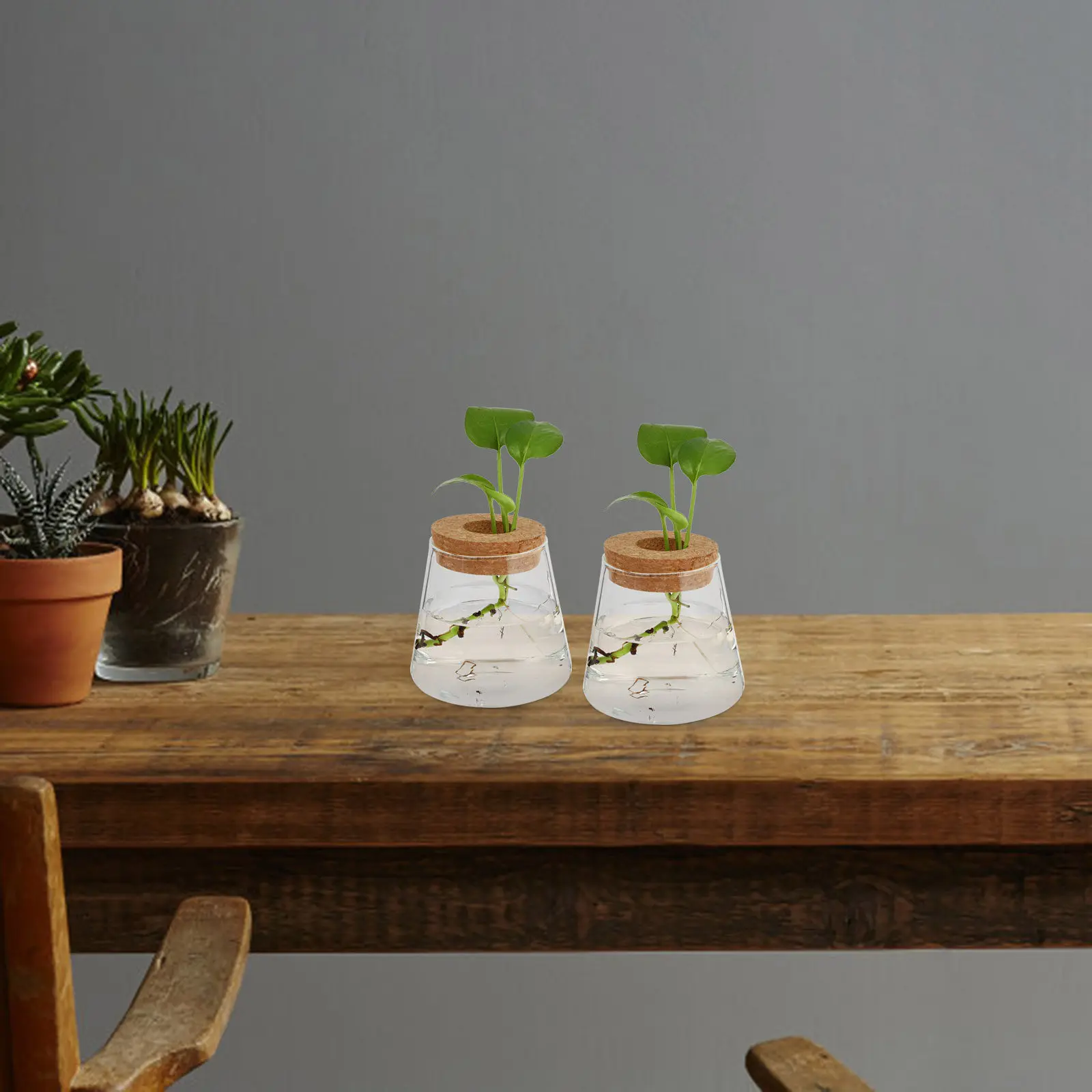 2pcs Glass Terrarium Vase Hydroponics Planter Desktop Home Decoration Clear Smooth Design Wood Base Easy Observation For