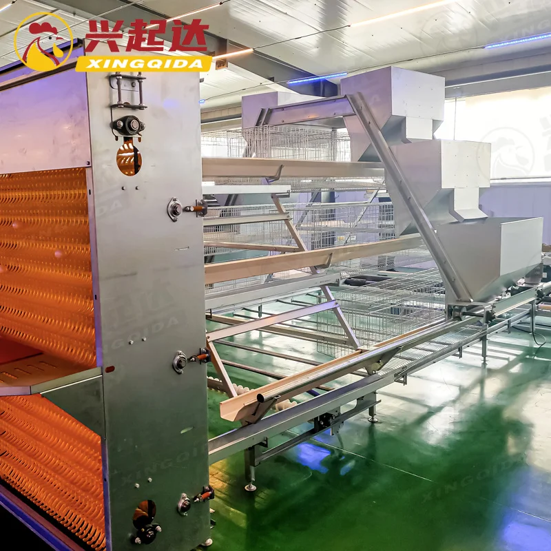 Battery Cages for Poultry Chicken Layer Healthy Growth Layer Cage Solution Efficient Egg Farming Modern Poultry Chicken Farming