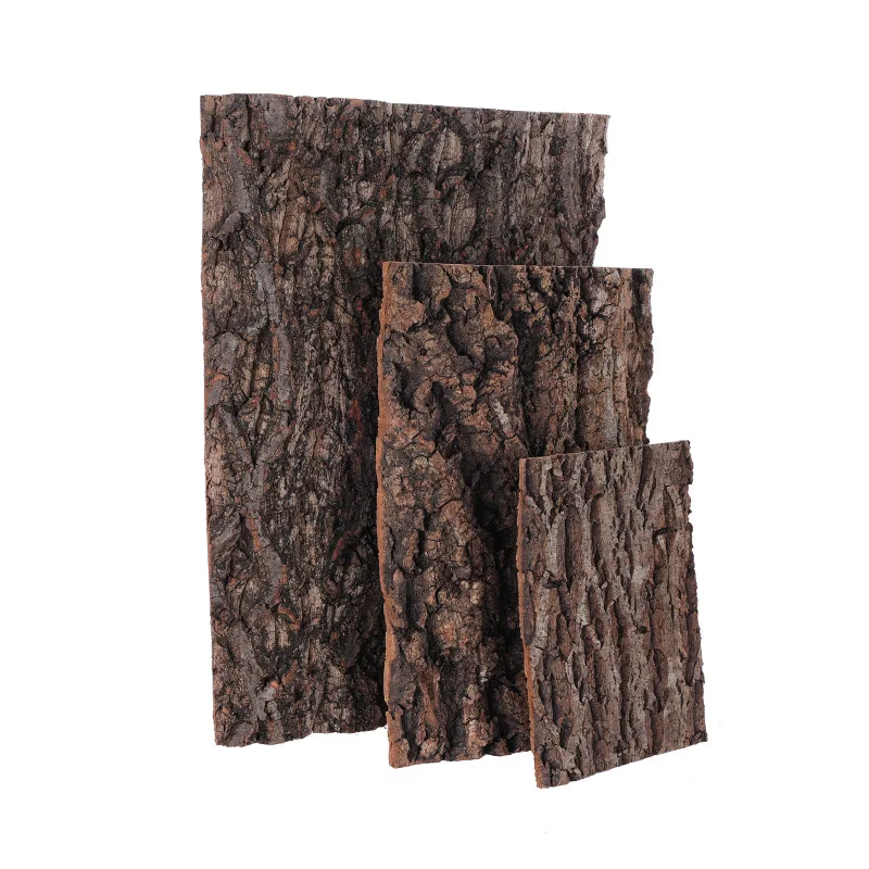 

Natural Virgin Cork Bark Lizards Habitat Terrariums Deco Reptile Terrarium Background