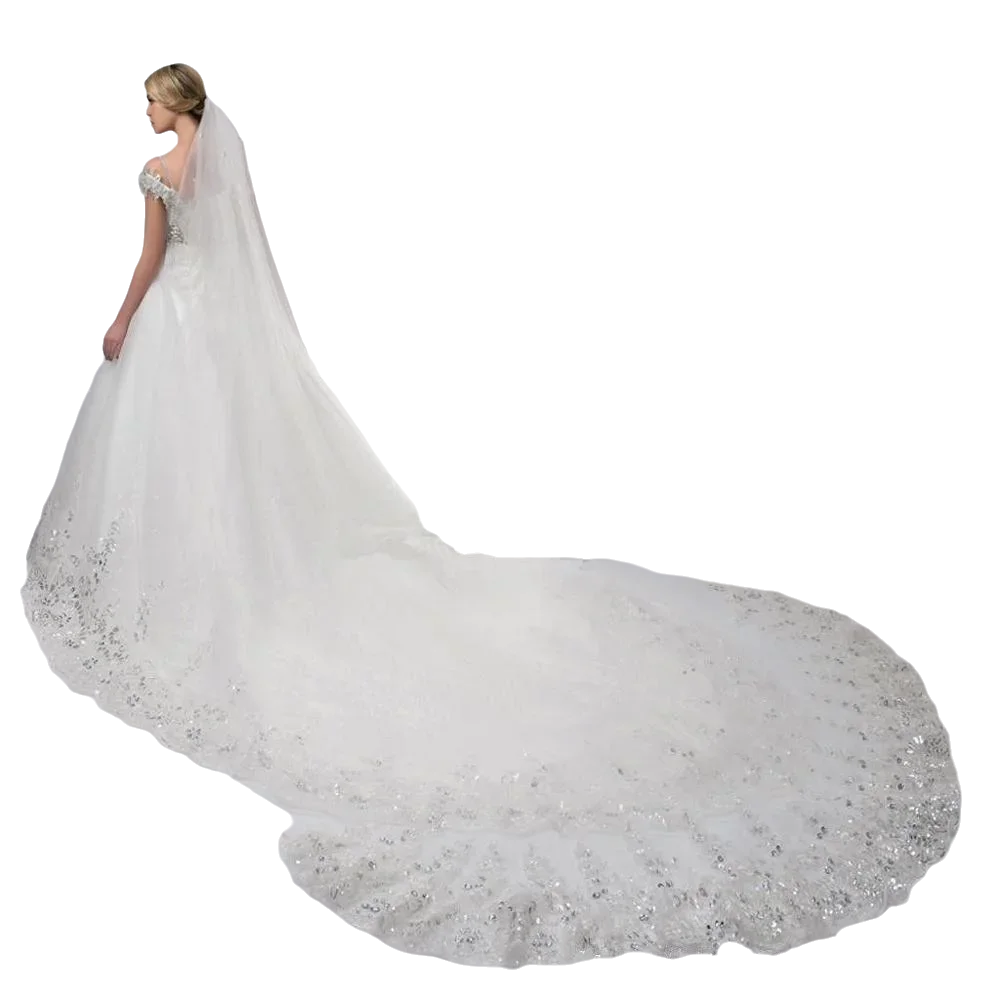 Mesh Long Wedding Lace 3 Meters Bridal Veils 2025