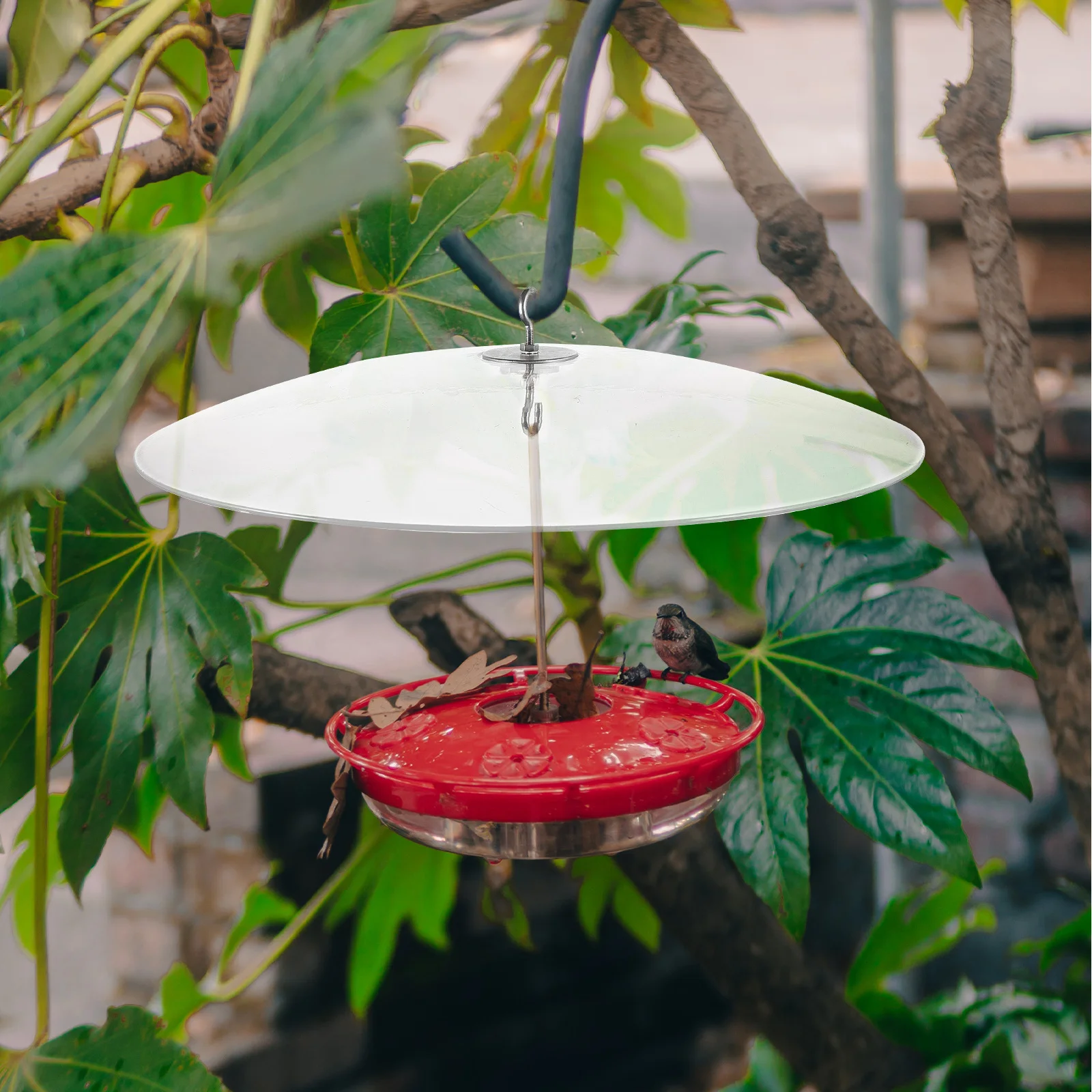 

Squirrel Baffle For Bird Feeder Outdoor Rain Cover Hanging Feeder Dome Guard Protective Accessory Pet Supplies