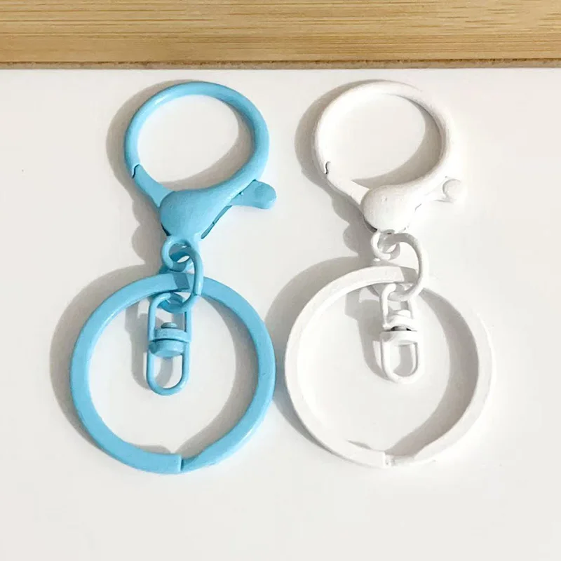Colorful Large Lobster Clasp Metal Keychain, 6-30Pcs Set