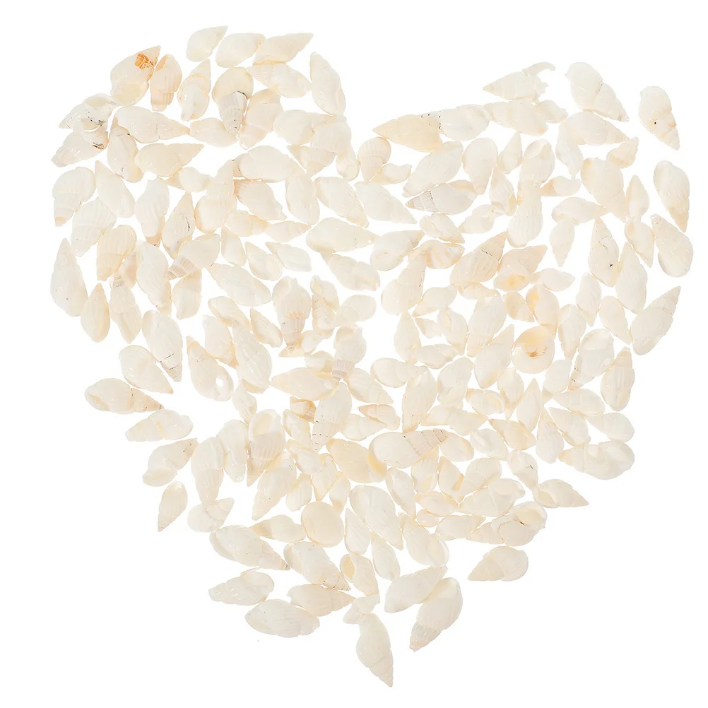 

400Pcs Conch Shell Decor Natural Seashell Crafts Aquarium Fish Tank Landscape Decoration DIY Creative Conch Adorn