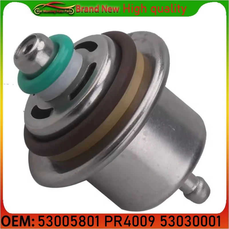 

53005801 PR4009 53030001 FP10071 FP10336 Fuel Injection Pressure Regulator for Jeep Grand Cherokee Wrangler 91-95