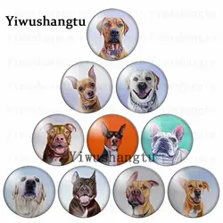 Cabochon animal cute  dog's head 12mm/20mm/25mm/30mm Round photo glass cabochon demo flat back Making findings