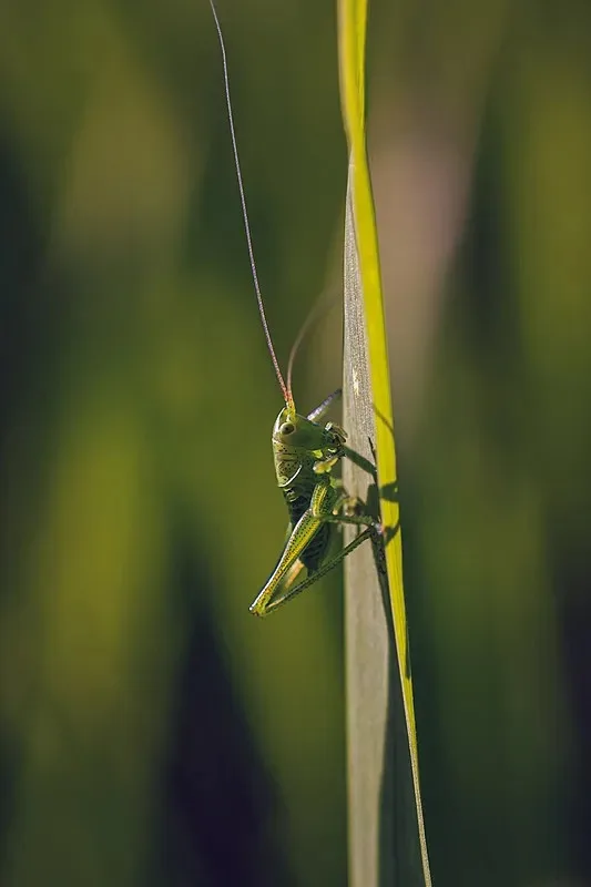 

Колеса и шины для радиоуправляемых моделей 1/10, металлические диски с шестигранником 12 мм для радиоуправляемых шоссейных автомобилей 1:10 Tamiya Kyosho TT01 TT02 XV01PTG-2 HSP HPI