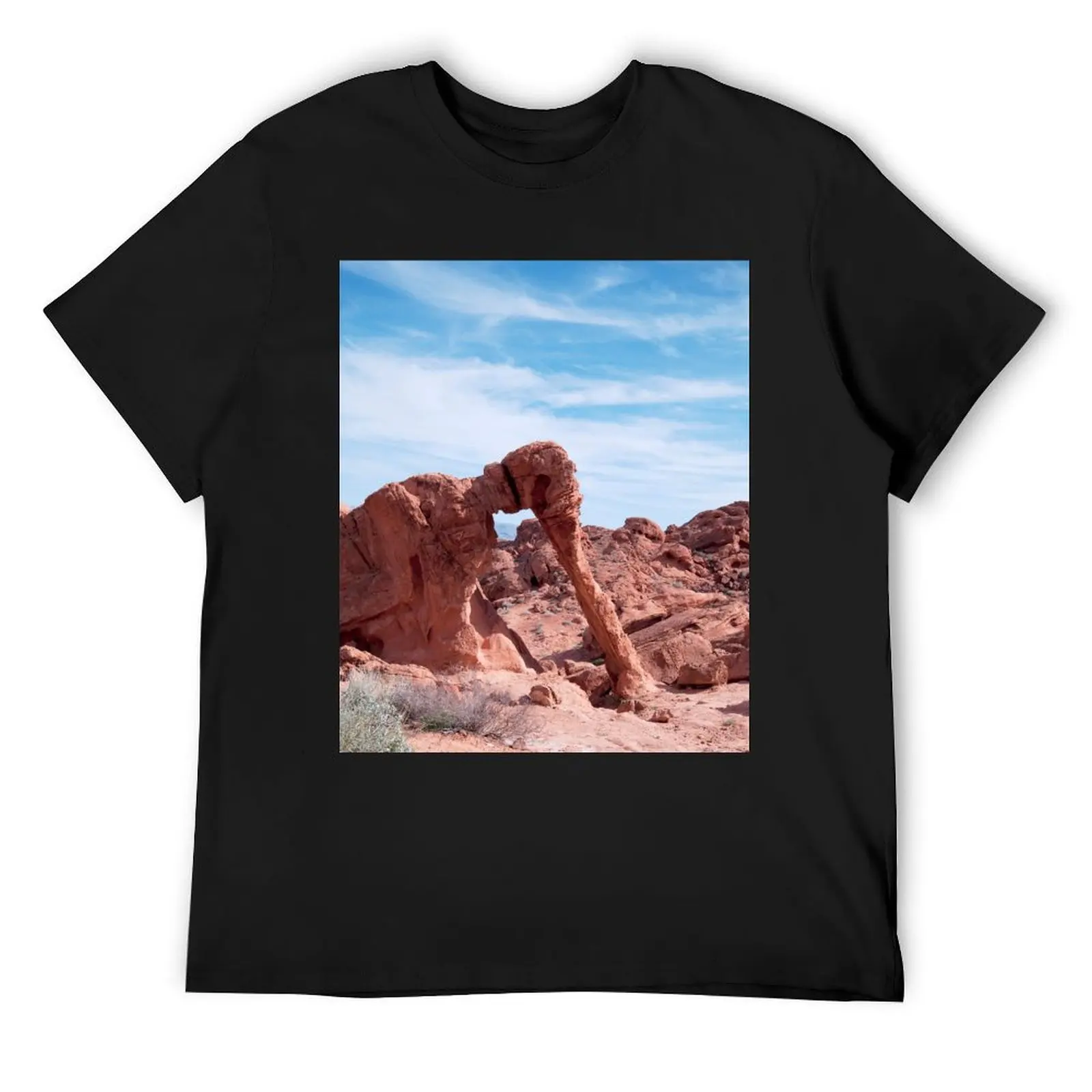 Elephant Rock T-Shirt anime figures graphic shirts shirts graphic tee men graphic t shirts