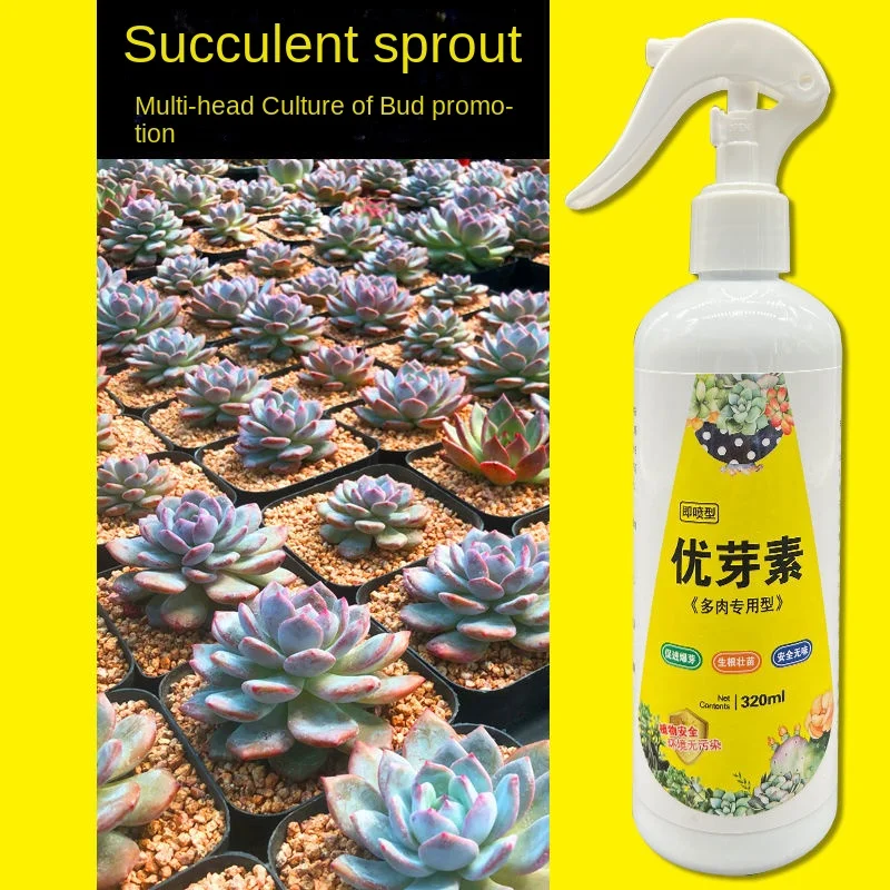 Succulent plant Eugenin promotes budding, dwarf fat, prevents leggy organic granules, succulent, and succulent 320ml