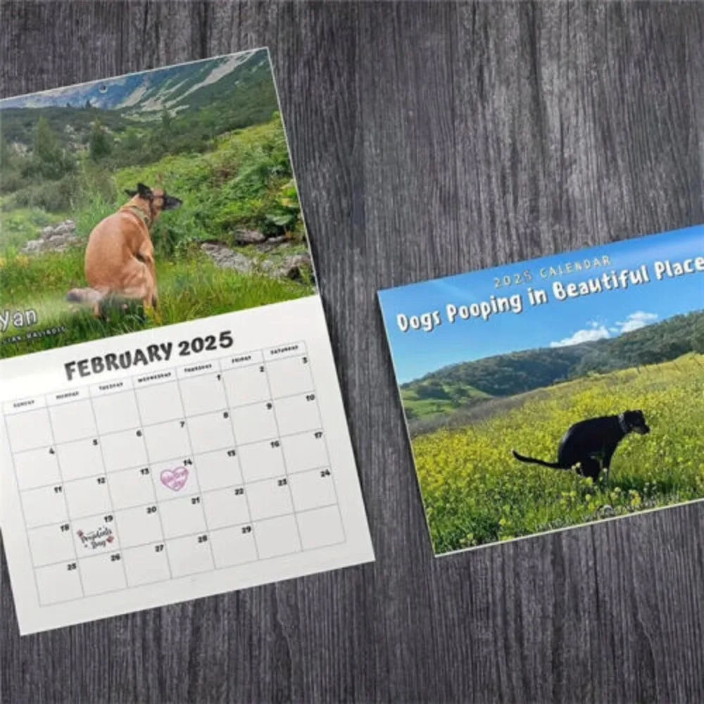 2025 Calendar Funny Dogs Pong In Beautiful Places Wall Calend Christmas Gag