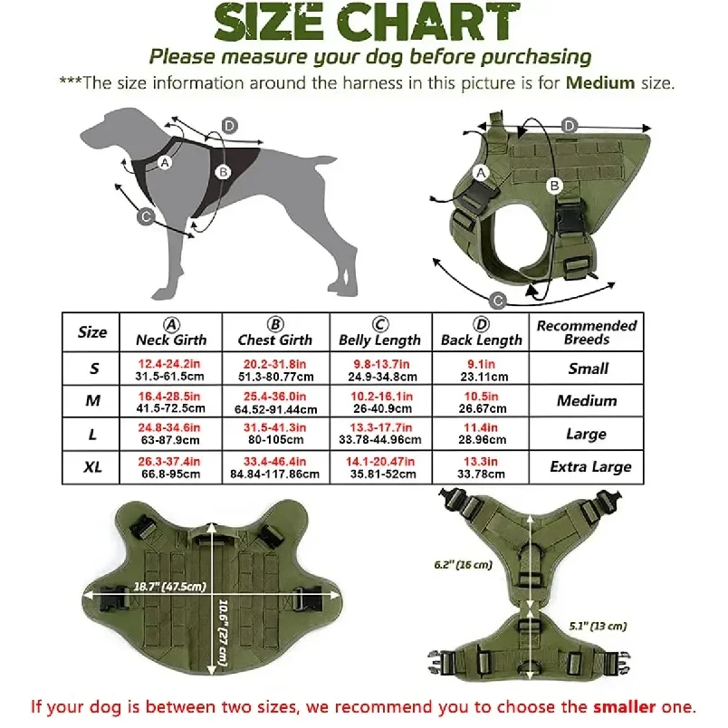 Thumbnail 2 - #49 Best Adjustable Pet Collars to Buy In 2026