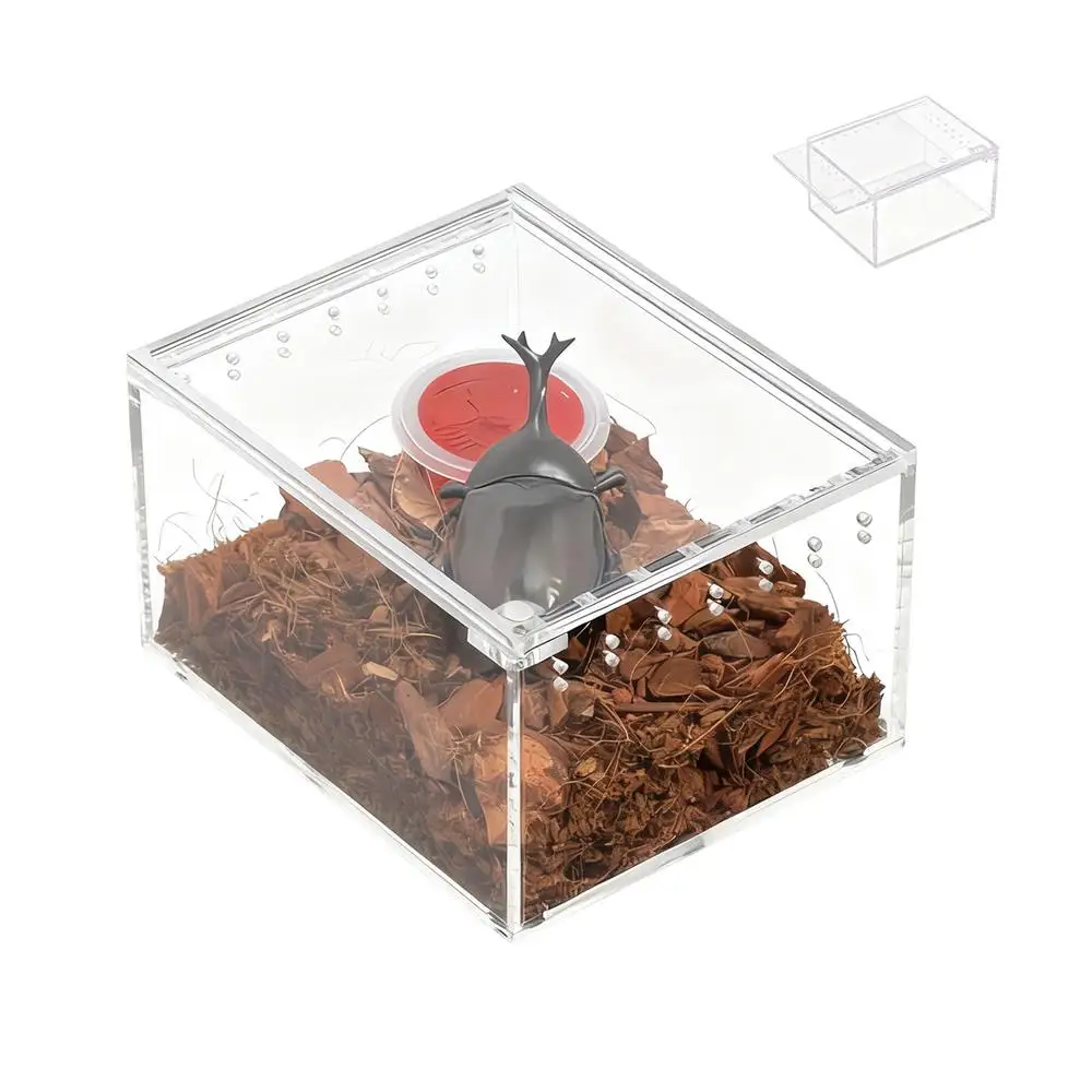 Slak Terrarium Transparante Kweekbox Acryl Slang Behuizing Voor Hagedis Kikker Gekko Slak Schildpad Observatie Fokken Voeden - afbeelding 2