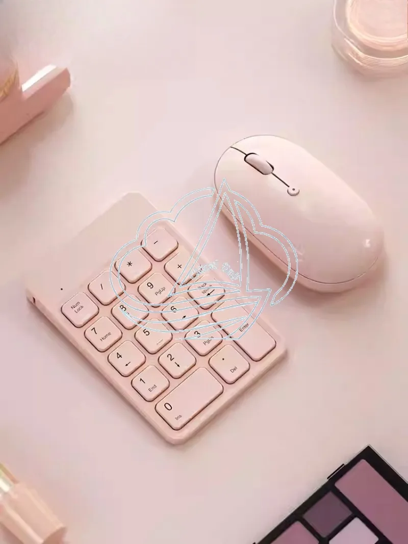 Wireless Bluetooth Numeric Keypad - Rechargeable USB Number Pad for Mini  Laptop & Financial