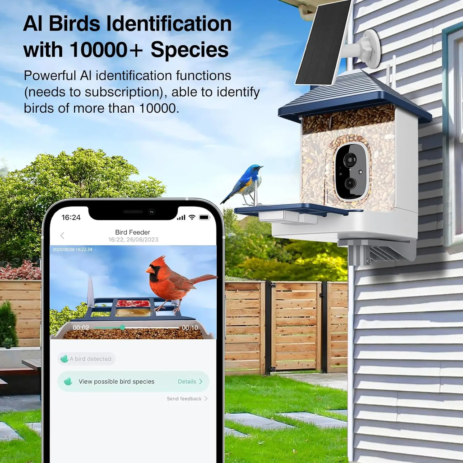 وحدة تغذية الطيور الذكية مع كاميرا، أنواع تحديد الذكاء الاصطناعي، بيت الطيور بالطاقة الشمسية، تنبيهات الوصول الفوري، مبيعات المصنع مباشرة #5