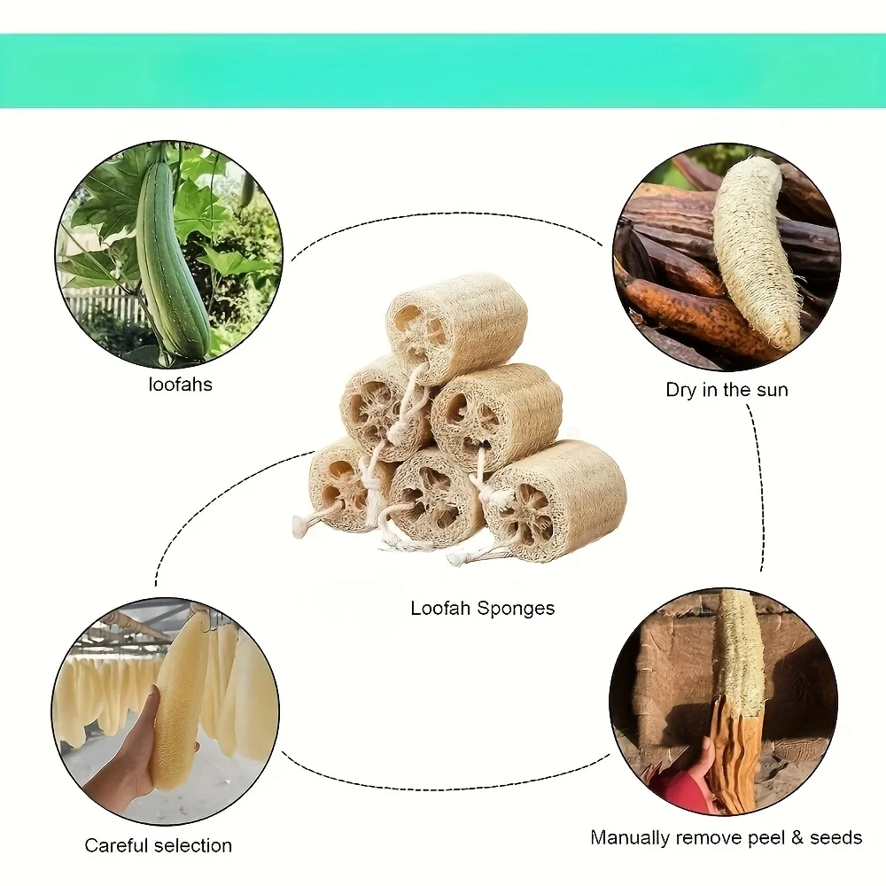 Thumbnail 3 - #19 Best Bath Sponges to Buy In 2026