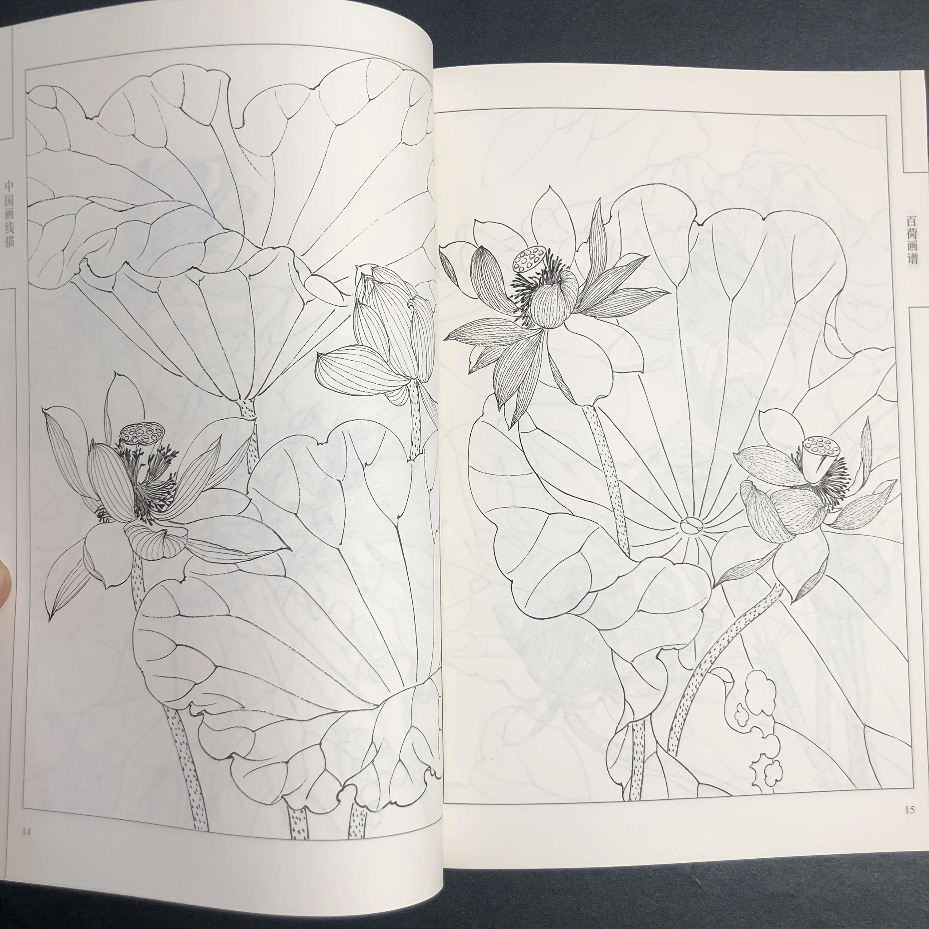 Coloring Book for Adults and Teens Featuring  with Easy and Simple Designs for Relaxation Chinese painting sketch