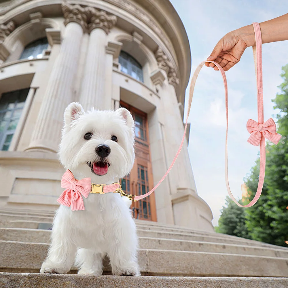 Cute Dog Collar Leash Set With Bowknot Soft Velvet Puppy Dogs Collars Outdoor Pet Walking Lead For Small Medium Dogs Chihuahua