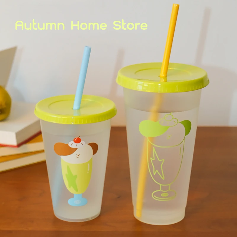 

Summer Plastic 700ml Cup Straw Cup Coffee Milk Tea Water Cup Portable and Recyclable Water Bottle