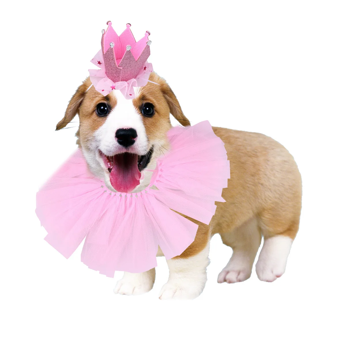 

2 Pcs Pet Tutu Skirt Dog Cloth Puppy Clothes Sweet Fashion Gauze Design Crown Cap Set Comfortable Practical Small Dogs Walking