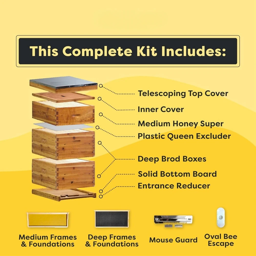 The Original Beeswax Coated Beehive Kit. Includes 2 Deep & 1 Medium Boxes with 10 Wooden Frames & Heavy Wax Coated Foundations