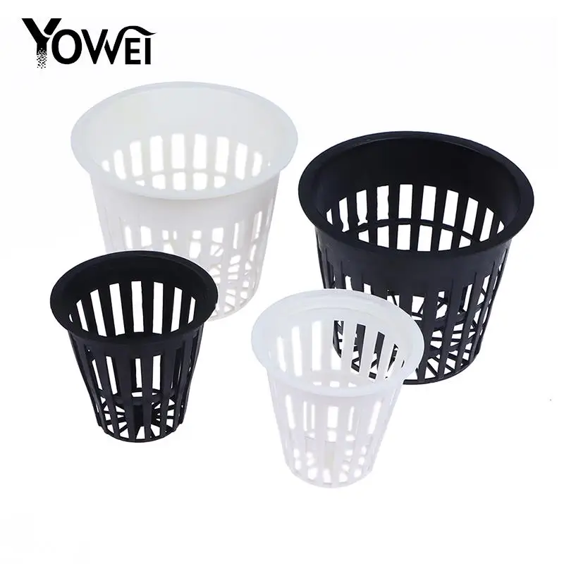 10Pcs 2 Inch 3 Inch Grow Orchids Hydroponics Cups Planting Mesh Pot Soilless Net Basket Slotted Colonization Container