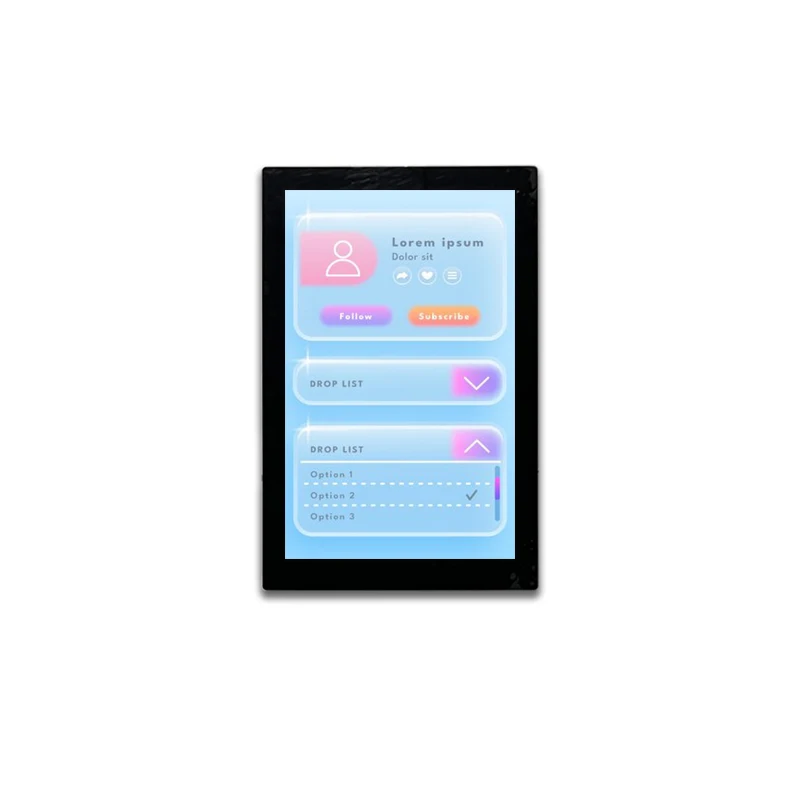 10.1 Inch HD IPS LCD Display Panel with 1200*1920 Resolution Type C Interface TFT Modules Product Category LCD Modules