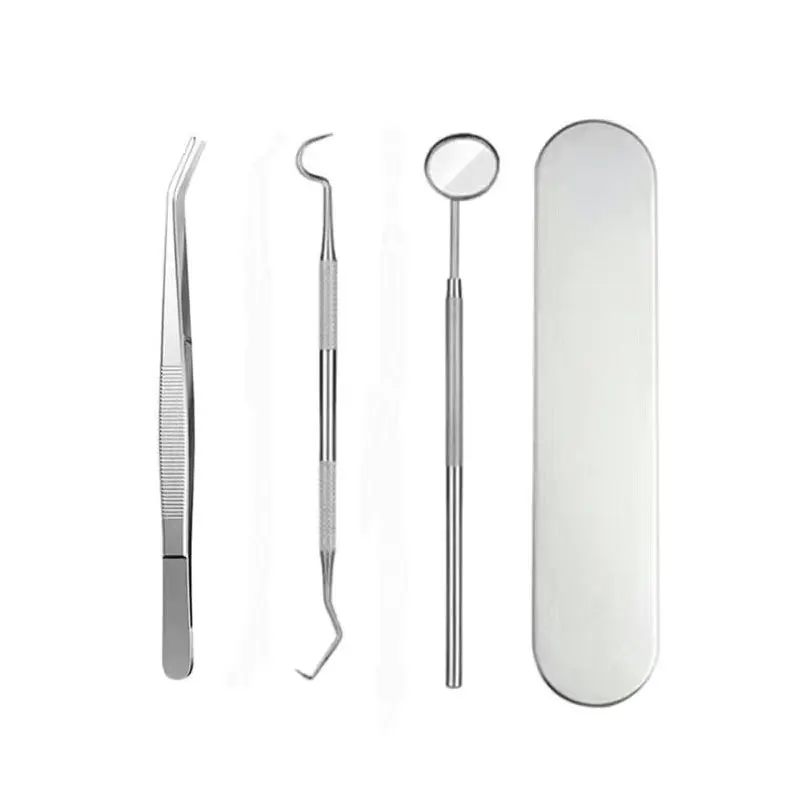 Stainless Steel Dental Tools Oral Care Tools Household Set to Remove Stains, Stones and Tartar Oral Endoscopic Probe