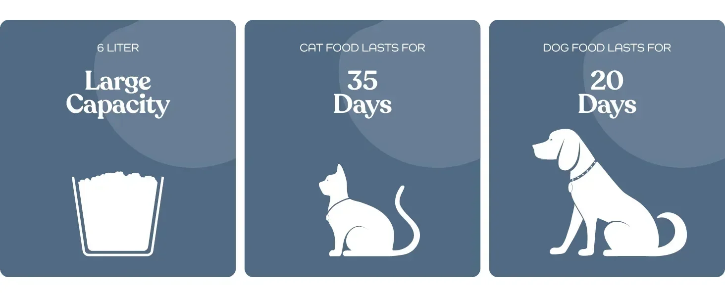 cat Feeder