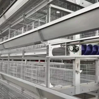 Broiler Chicken Raising System 'H' Typ Cage für Geflügelfarmausrüstung