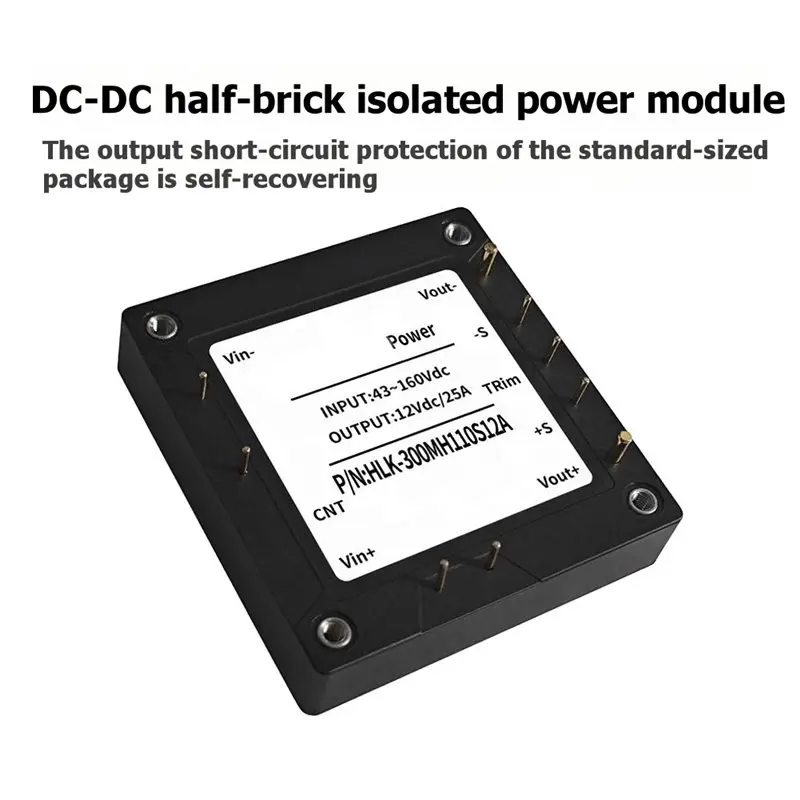 HGHO HLK-300MH110S12A DC-DC Power Module 110V To 12V Isolated Regulated Single-Channel 4:1 Wide Input Converter Semi-Brick