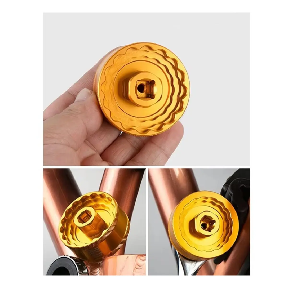 AD10 5 In 1 Bottom …