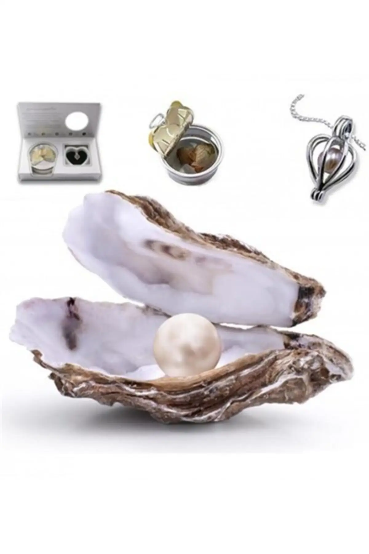 Real Pearl in Oyster Natural Stone Wedding Jewelry Sterling Silver Necklace