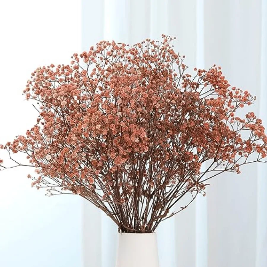 Baby Breath Dried - Bouquet de fleurs séchées Gypsophile -