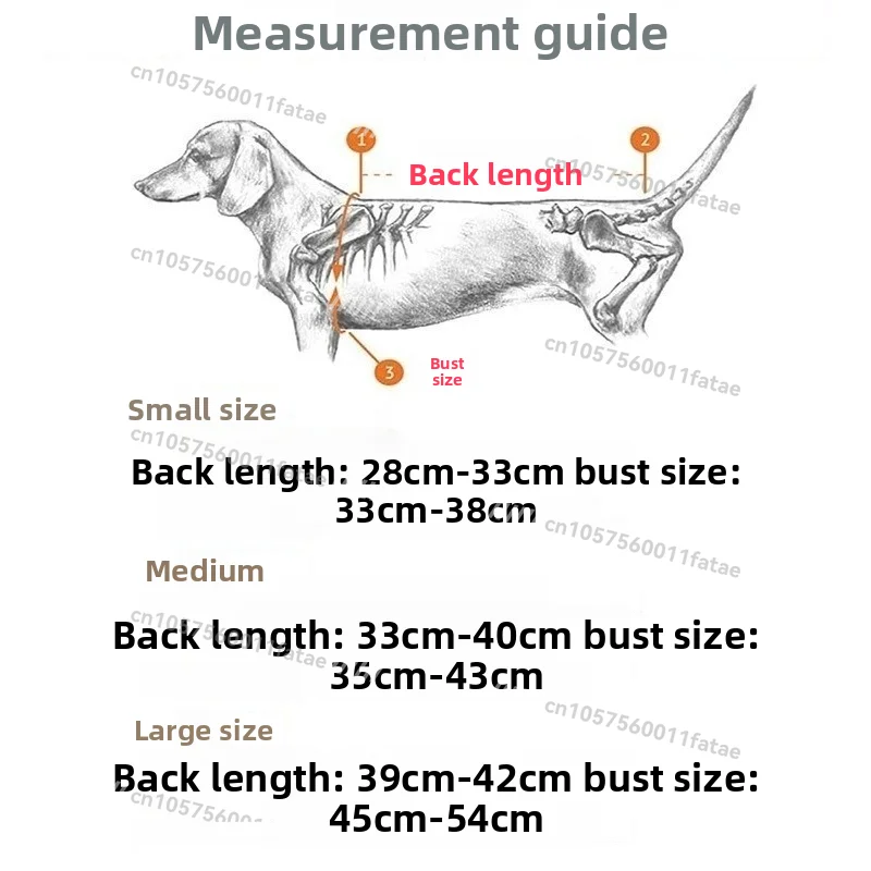 حزام العمود الفقري للحيوانات الأليفة، دعامة تثبيت خلفية للكلاب #4