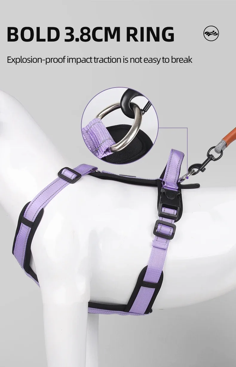 Geschirre und trage Halsketten, Geschirr mit Hundeleine, klassisch, mittelgroß, für kleine Hunde, Haustierzubehör, Brust-Welpenhalsband, großes Accessoire – Detail 7