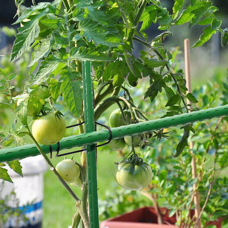 20pcs Garden Bracket Accessories Steel Wire Buckle Plant Support Fixing Clamp Clamp Plant Cages Climbing Vine Shelf Connector