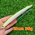 SW20 19CM 36G
