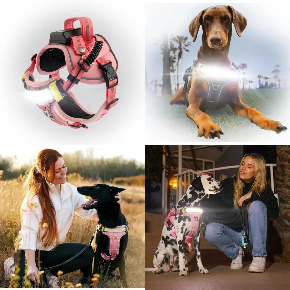 

Светодиодная шлейка для собак высокой видимости для повышенной ночной безопасности — жилет с подсветкой на 1000 люмен и патентованной подвесной конструкцией