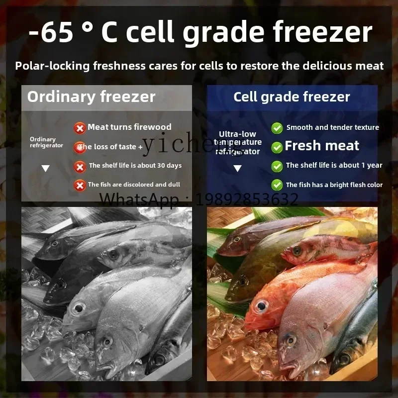 

ultralow temperature refrigerator minus 80 degrees fishing boat seafood freezer household large horizontal freezer