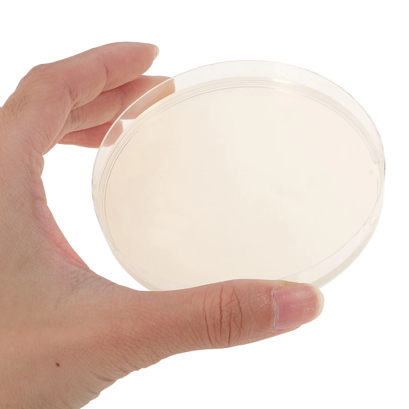 

10Pcs Agar Petri Plates Professional Disposable Culture Dishes for School Science Fair Projects Bacterial Growth Research Tools