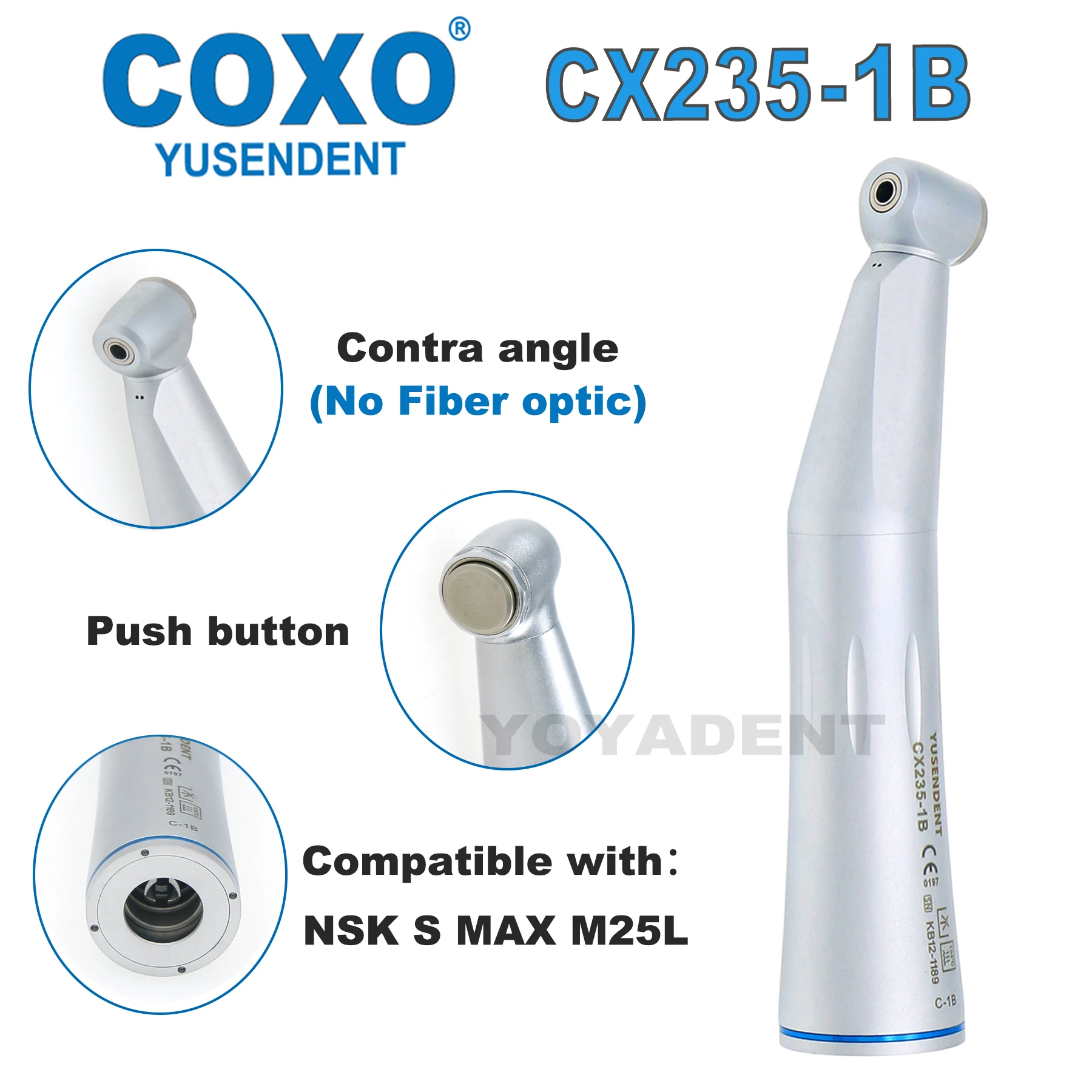 Coxo Dental 1:1 Con… - image