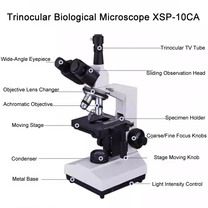 Best Seller High Quality Factory Direct Trinocular Biological Microscope Multi-purpose Optics Analysis for Education​