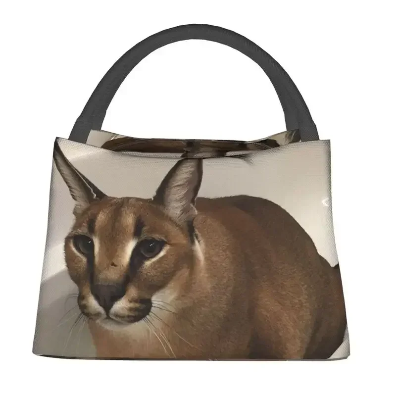 Floppa Cute Meme Thermal Insulated Lunch Bags Funny Caracal Cat Resuable Lunch Container for Work Travel Storage Meal Food Box