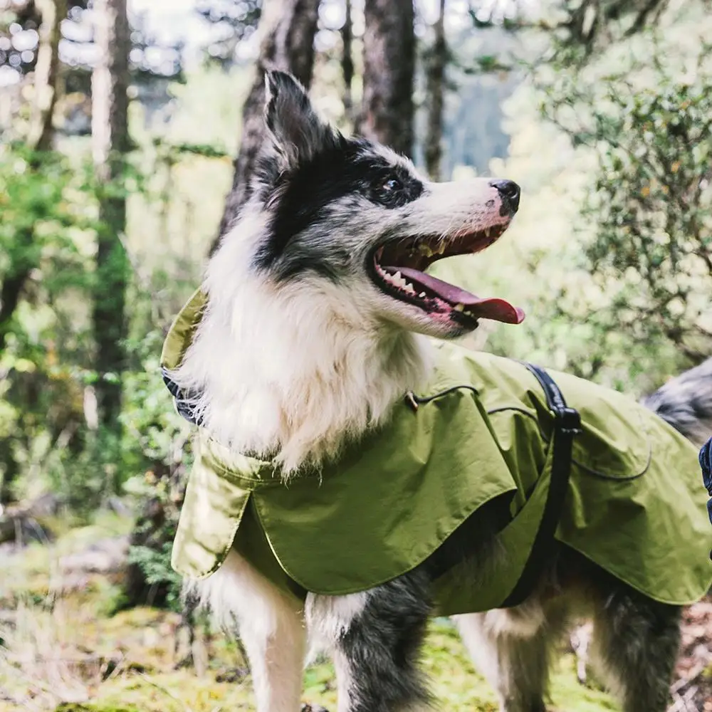 Waterproof Small Dog Coat - Warm Adjustable Sport Vest - Cozy Green Outdoor Outfit (Size L)